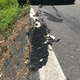 Dat asphalt!